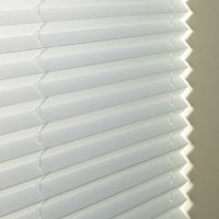 Pleated Blinds